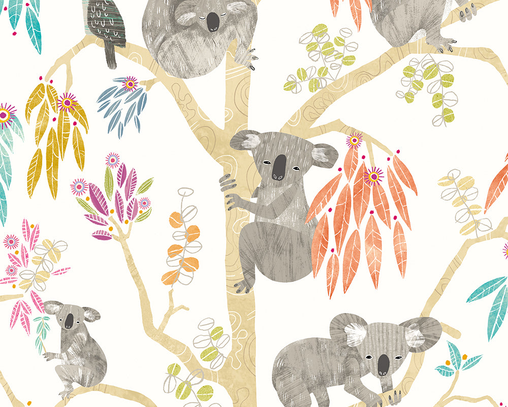 KOOKA KOALA - Pumpkin – Ohpopsi