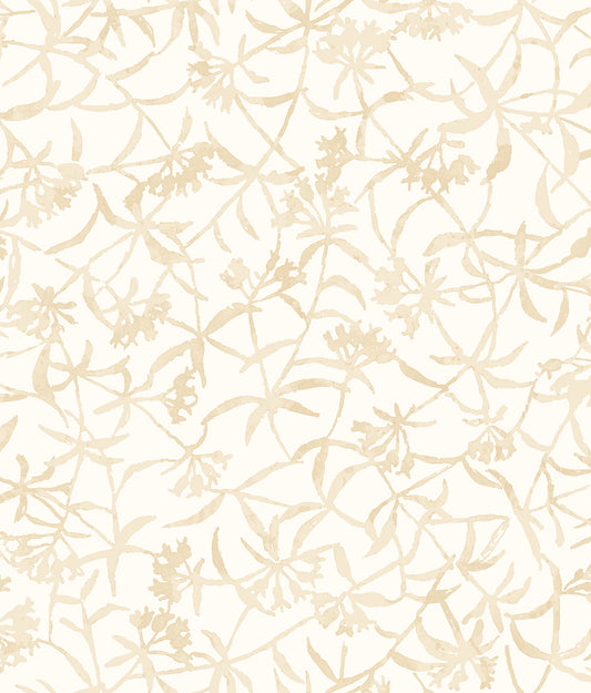 ENTWINE - Buttermilk
