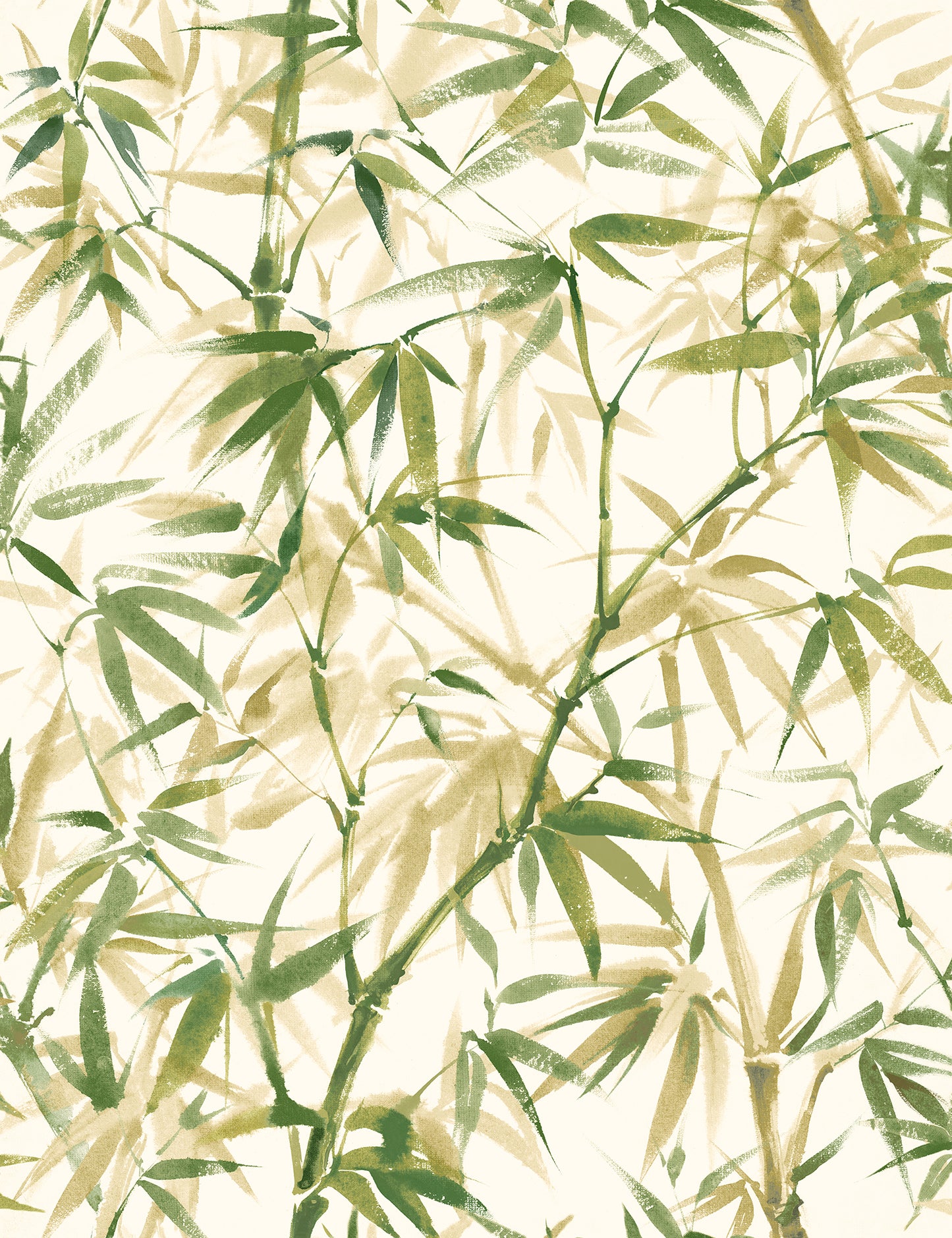 SHADOW BAMBOO - Willow