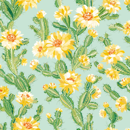 CACTUS BLOOM - Sunshine