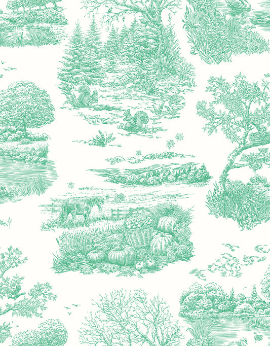 EVE TOILE - Jade