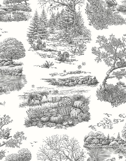EVE TOILE - Noir